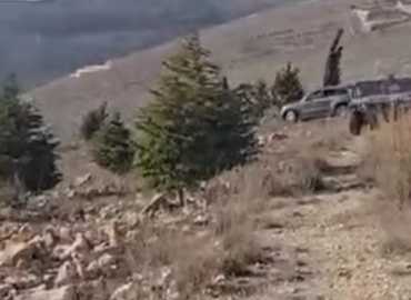 بلدية مارون الراس تزرع 230 شجرة زيتون في منطقة الشهداء