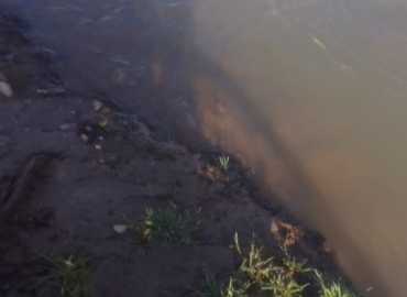 جولة ميدانية لـ 