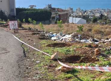 بلدية الجية تباشر تنفيذ مشروع زراعة أشجار الخروب على جوانب طرقات البلدة