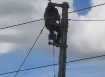 بلديّة جبشيت تعيد التيار  الكهربائي إلى معظم الأحياء بعد أضرار الشبكة 