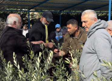 بلدية شقرا ودوبيه تنظم ندوة زراعية لتشجيع زراعة الأشجار المثمرة