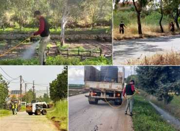 جمعية العمل البلدي في الجنوب تنجز حملة تعشيب وتنظيف واسعة للطرقات والحدائق بمشاركة 66 بلدية