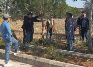 ورشة تدريبية حول تقليم الأشجار لمندوبي البلديات في قضاء صور