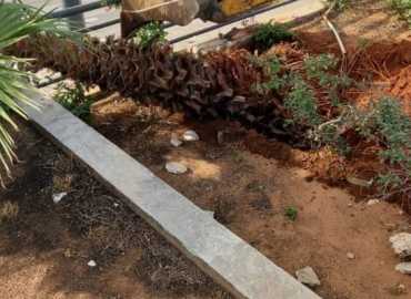 بلدية الغبيري تواصل أعمال الصيانة والتشجير لتحسين المشهد العام ورفع مستوى السلامة