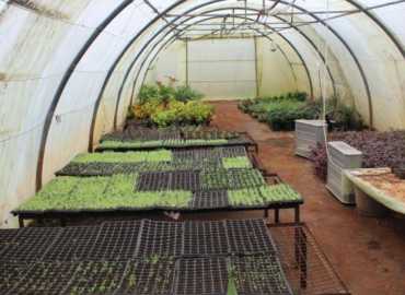 قسم الزراعة في بلدية برج البراجنة يواصل زراعة البذور وأعمال التشتيل