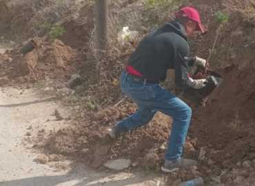 بلدية طيردبا تتسلم 200 شجرة صنوبر وخروب لتعزيز المساحات الخضراء