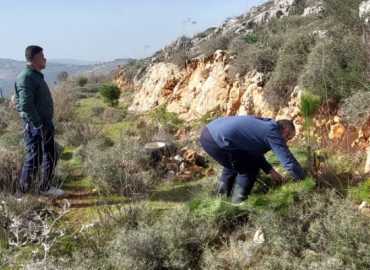 بلدية السلطانية تُتابع مشروع المحمية الزراعية وتُطلق مرحلة تشجير جديدة