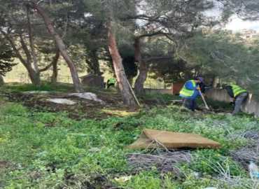 بلدية قلاويه تطلق أعمال التقليم والتنظيف في أحياء البلدة