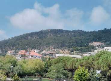 بلدية الريحان في خدمة أهلها: إنجازات حالية وتخطيط للعام المقبل