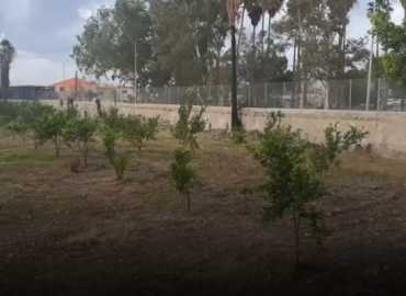 استثمار بيئي للعقارات المستملكة في محيط برك رأس العين في مدينة صور