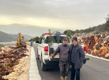 بلدية سجد تستكمل المرحلة الثانية من أعمال تشجير شتلات الخروب