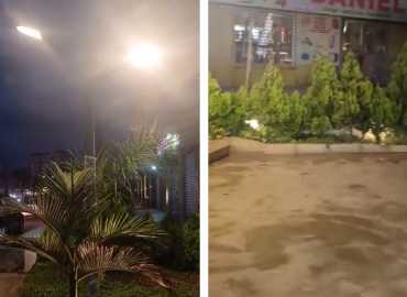 بمبادرة فردية زرع ورود وأعمدة إضاءة عند مفرق العباسية .. البلدية: تعزيز لجمال المنطقة