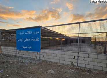 بلدية صيدا تنهي المرحلة الاولى لإنشاء مأوى للكلاب الشاردة