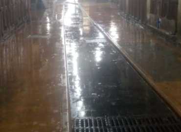 حملة النظافة والشطف الليلية في أسواق طرابلس مستمرة