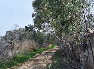 بلدية شيحين: خطة بيئية تُجدّد الحياة وتحفظ السلامة