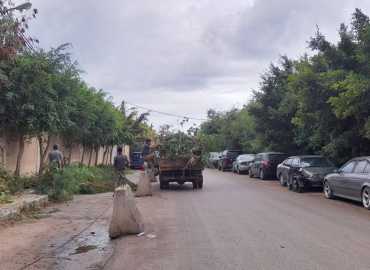 قسم الزراعة في بلدية برج البراجنة يواصل أعماله الميدانية