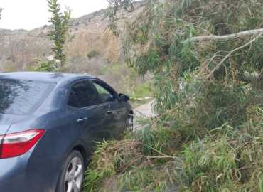 إتحاد بلديات جبل عامل يفتح طريق الحجير – السلوقي بعد إزالة الأشجار المتساقطة جرّاء العاصفة
