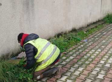 بلدية الغبيري: استمرار الأعمال البيئية وتأمين الخدمات رغم الظروف الراهنة