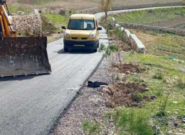 بلدية حداثا تزرع 240 شجرة صنوبر وخروب على طريق البركة – المكب