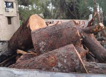 بلدية النبطية تواصل تعزيز السلامة العامة في ظل العاصفة الأخيرة