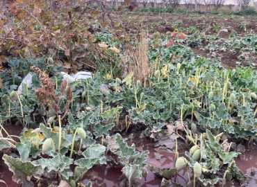 المصلحة الوطنية لنهر الليطاني تتحرك إثر تلوث في منطقة بدنايل