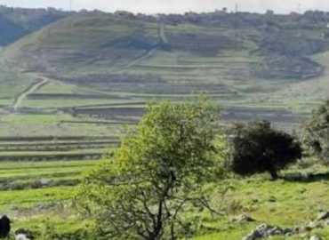 بلدية مارون الراس تدعو النازحين والعائدين إلى إعادة التسجيل عبر منصة اتحاد بلديات صور