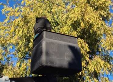 اتحاد بلديات جبل عامل يُنفذ أعمال تشحيل الأشجار لضمان السلامة واستمرارية الكهرباء