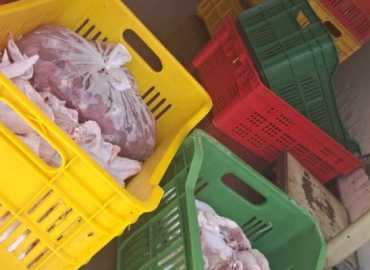 بلدية الغبيري تضبط شحنة دجاج فاسدة وتتلفها لمخالفتها شروط السلامة الصحية