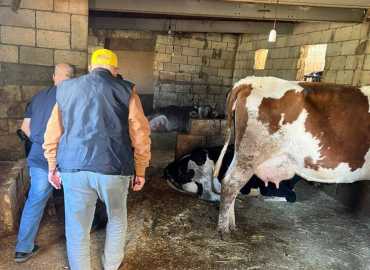 اتحاد بلديات جبل عامل ينظم زيارة ميدانية لطبيب بيطري في بعض بلداته