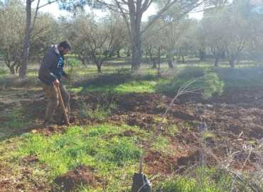 بلدية عدشيت تطلق حملة تشجير لمناسبة ولادة الامام علي (ع)