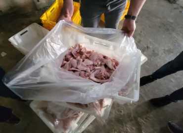 الدائرة الصحية في بلدية طرابلس تضبط 500 كيلوغرام من الدجاج الفاسد في جبل محسن