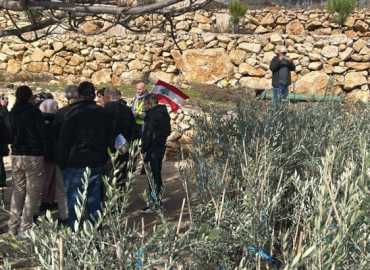 اتحاد بلديات جبل عامل يوزّع نصوب الزيتون على البلدات الحدودية المتضررة