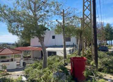 بلدية بستيات تُباشر أعمال تشحيل الأشجار حفاظًا على السلامة العامة