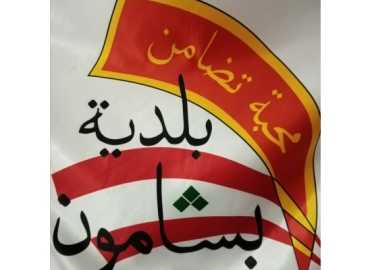 بلدية بشامون تطلق حملة شاملة لرشّ المبيدات ومكافحة الحشرات