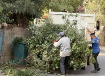 بلدية شقرا ودوبيه تطلق حملة لتشحيل الأشجار استعدادًا لفصل الشتاء
