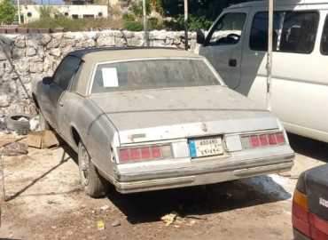 بلدية صيدا تنذر أصحاب السيارات والآليات المهملة بإزالتها خلال أسبوع