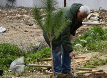 حملة تشجير في النبطية تعزيزًا للمساحات الخضراء