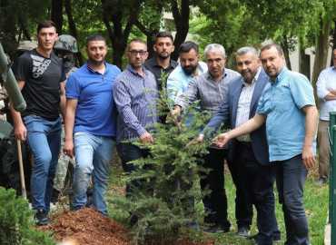 حومين التحتا .. نموذج يحتذى به على مستوى المجالس البلدية