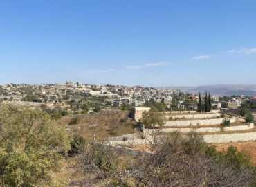 بلدية لبايا: نموذج للعمل البلدي النشيط والفعال 
