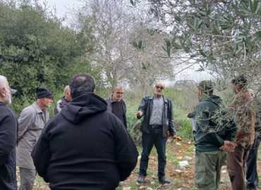 ورشة متخصصة في القنطرة لتقليم الزيتون دعمًا للإنتاج الزراعي