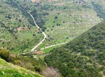 إعادة تأهيل المحميات المتضررة بسبب العدوان: بين حجم الكارثة ودور البلديات في المواجهة