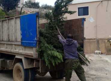 بلدية سلعا تزيل الأشجار المتساقطة وتطلق حملة صيانة للطرقات وشبكة الكهرباء