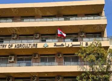 وزارة الزراعة تؤكّد مضمون تصريح وزير الإعلام وتُطمئن: الحمّى القلاعية لا تنتقل إلى الإنسان