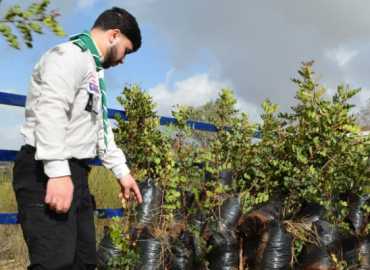 بلدية حانين تتسلم 200 شجرة ضمن مبادرة 