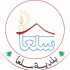بلدية سلعا تواصل تركيب مصابيح الإنارة على الطرقات