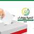 الانتخابات البلدية.. بيئة المقاومة أكثر تماسكًا