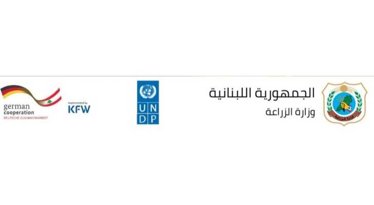 وزارة الزراعة تطلق مشروع إنتاج وتوزيع 1.5 مليون شتلة خضار بالتنسيق مع البلديات واتحاداتها