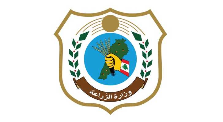 وزارة الزراعة تنشر متوسط أسعار اللحوم والخضار والفاكهة والحليب