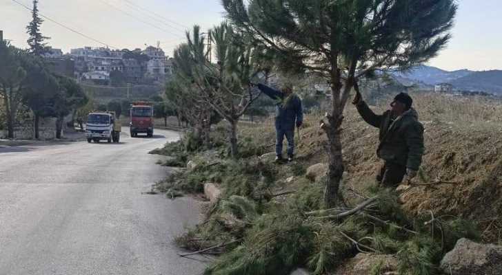 بلدية الريحان تباشر بتنفيذ أعمال تشحيل الأشجار على مداخلها الرئيسية
