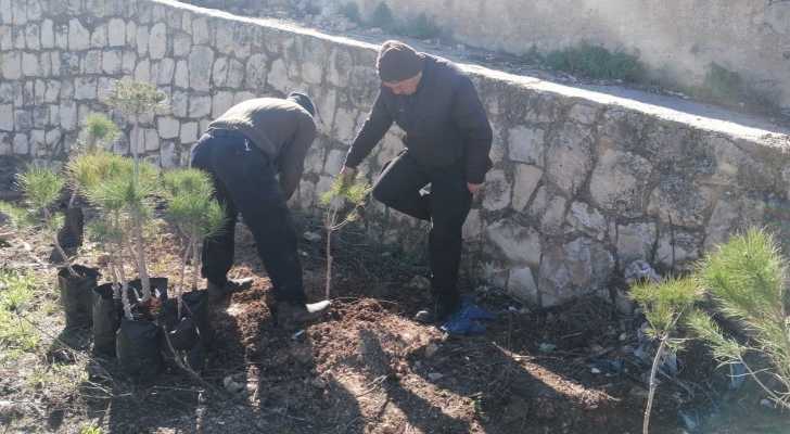 بلدية مركبا تُنجز تأهيل وزراعة الحديقة العامة بالتعاون مع اتحاد بلديات جبل عامل